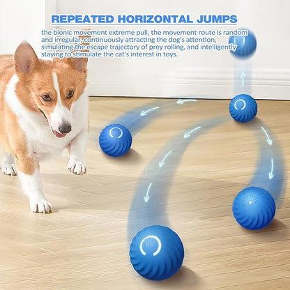 🔥2025 Hot Sale 50% OFF💥-Interactive Dog Toys Dog Ball