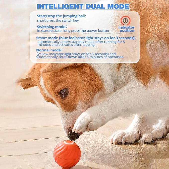 🔥2025 Hot Sale 50% OFF💥-Interactive Dog Toys Dog Ball