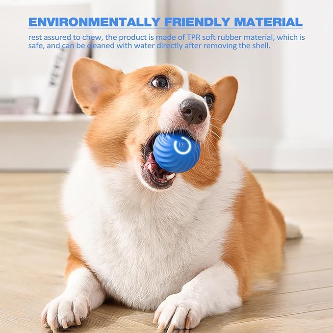 🔥2025 Hot Sale 50% OFF💥-Interactive Dog Toys Dog Ball