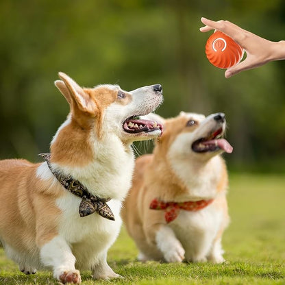 🔥2025 Hot Sale 50% OFF💥-Interactive Dog Toys Dog Ball