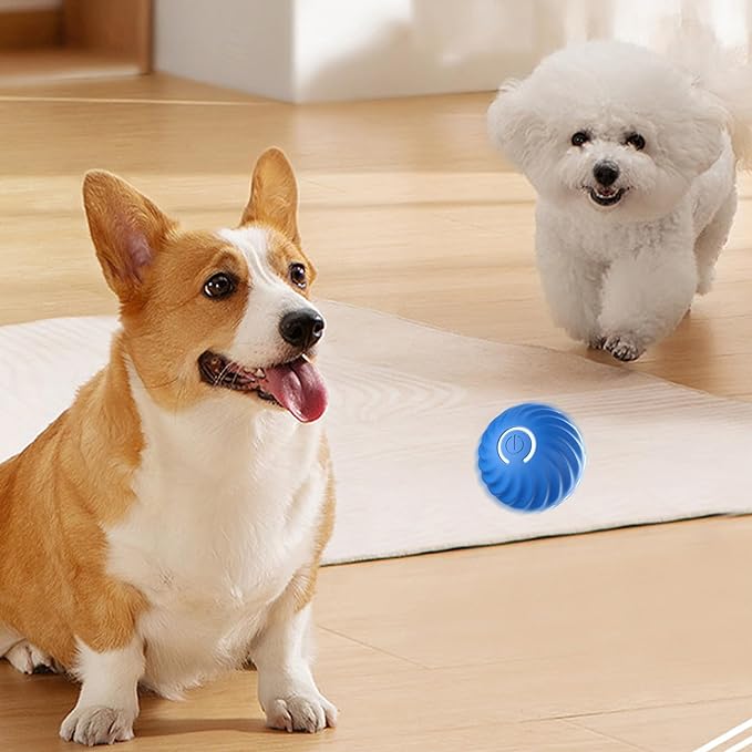 🔥2025 Hot Sale 50% OFF💥-Interactive Dog Toys Dog Ball