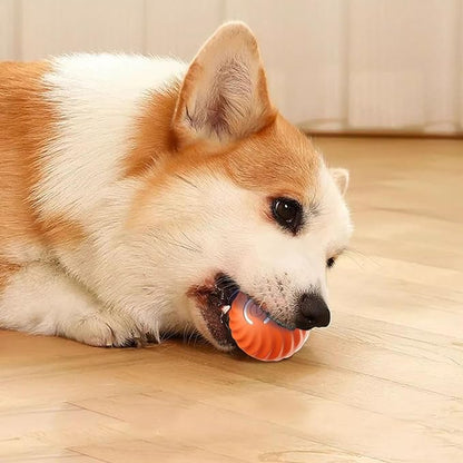 🔥2025 Hot Sale 50% OFF💥-Interactive Dog Toys Dog Ball