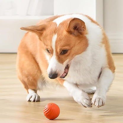 🔥2025 Hot Sale 50% OFF💥-Interactive Dog Toys Dog Ball