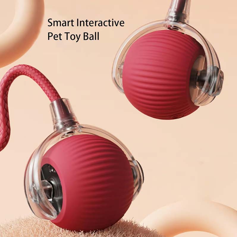 Smart Interactive Pet Toy Ball🪀