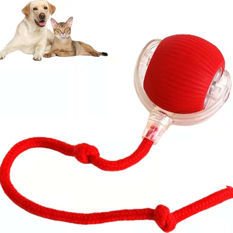 Smart Interactive Pet Toy Ball🪀