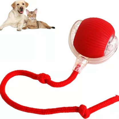 Smart Interactive Pet Toy Ball🪀