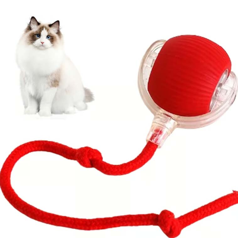 Smart Interactive Pet Toy Ball🪀