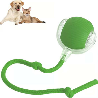 Smart Interactive Pet Toy Ball🪀