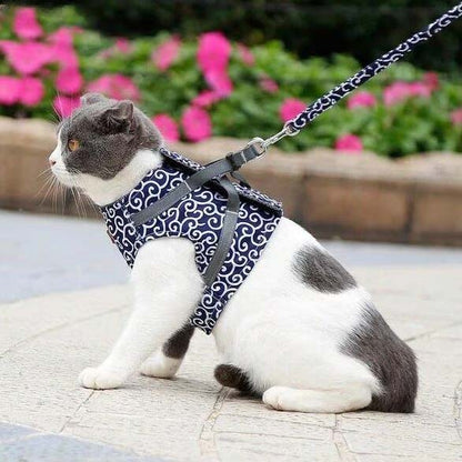 🔥Cat Dogs Vest Harness and Leash Anti-break Away Chest Strap Cat Clothes