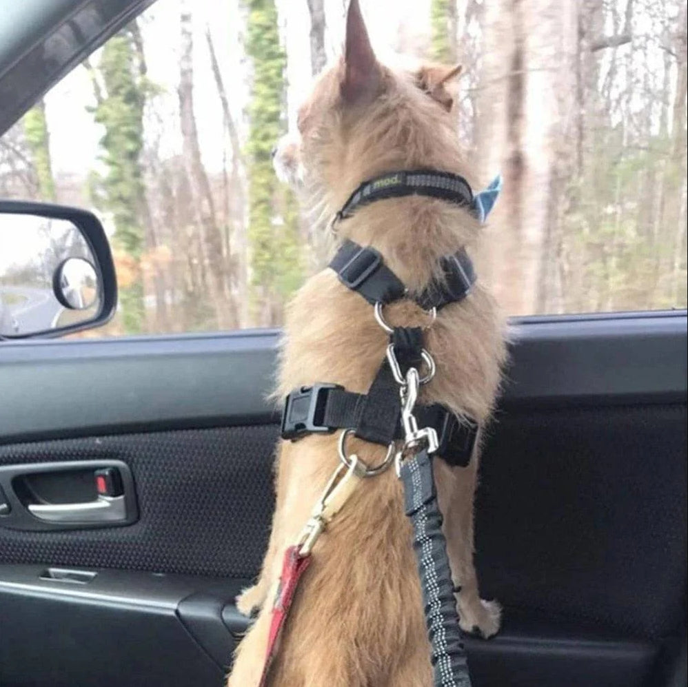 Dog Car Seat Belt